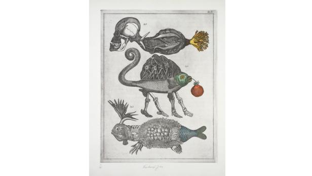 Absonderlichkeiten in der Kunsthalle Wien