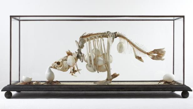 Absonderlichkeiten in der Kunsthalle Wien