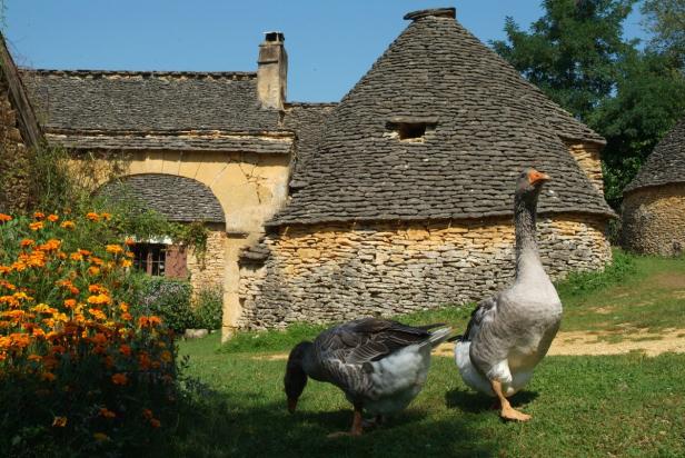 Périgord: Wein, Trüffel & Martin Walker