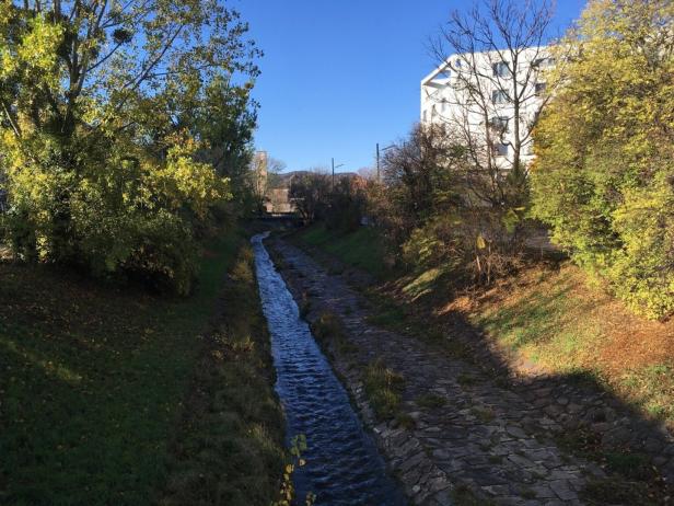 Grünes Ufer: Der Liesingbach wird renaturiert