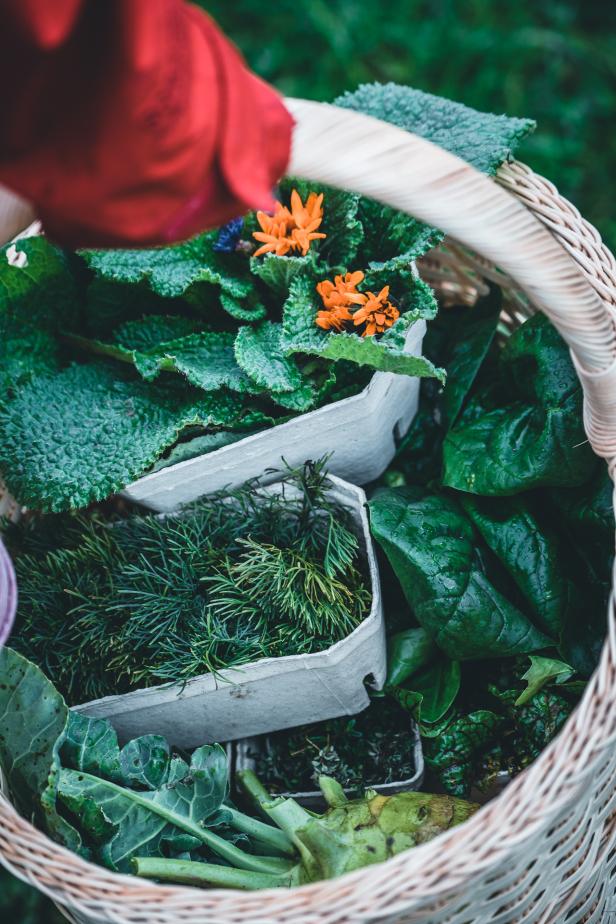 Mythos: Herbstzeit ist Erntezeit (inkl. DIY Türkranz)