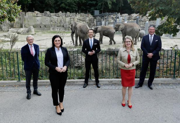 Tiergarten Schönbrunn bekommt neue Elefantenanlage