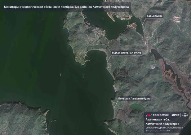 Massentiersterben: Rätselhafte Umweltkatastrophe vor Russlands Ostküste