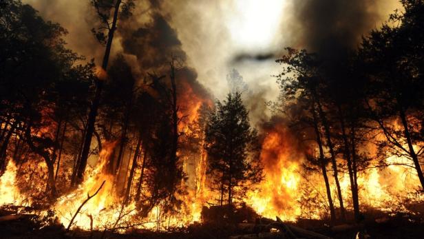 Texas: Waldbrände verwüsten ganze Landstriche