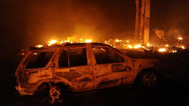 Texas: Waldbrände verwüsten ganze Landstriche