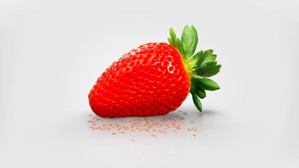 Eine einzelne, reife Erdbeere liegt auf einer glatten Oberfläche.