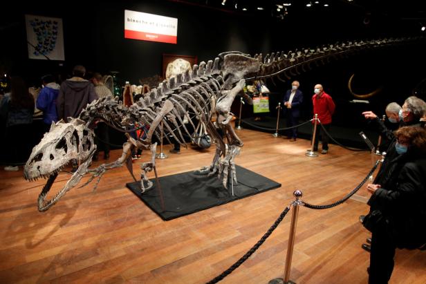 Dinosaurier-Skelett für drei Millionen Euro in Paris versteigert