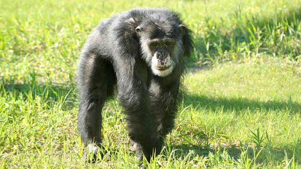 Nach 30 Jahren wieder an der Sonne