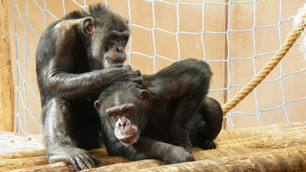 Nach 30 Jahren wieder an der Sonne