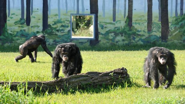 Nach 30 Jahren wieder an der Sonne