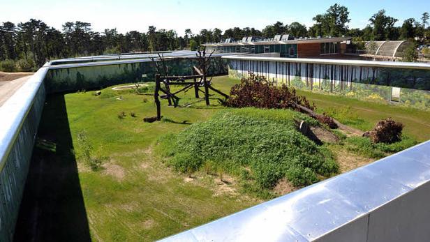 Nach 30 Jahren wieder an der Sonne