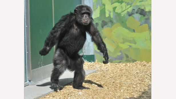 Nach 30 Jahren wieder an der Sonne