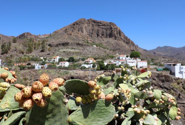 Gran Canaria: Zwischen, über und unter den Wellen