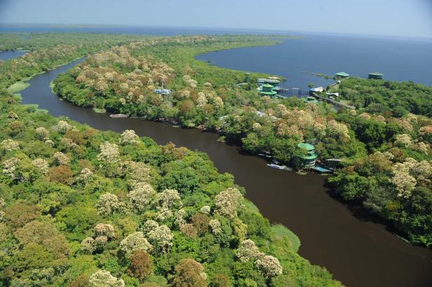 Luftaufnahme eines Flusses, der sich durch dichten Dschungel schlängelt, mit einem See im Hintergrund.