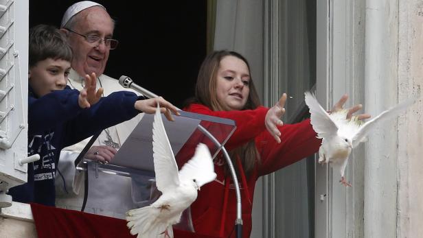 Nach Möwenattacke verzichtet Papst auf Tauben