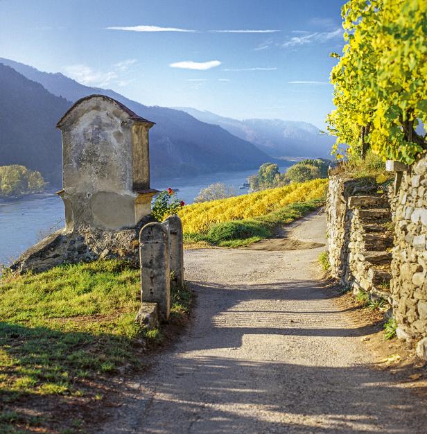 Weinwandern in  Niederösterreich und Wien