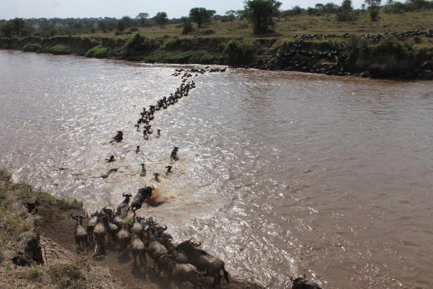 So leer wie nie: Die Serengeti für dich allein