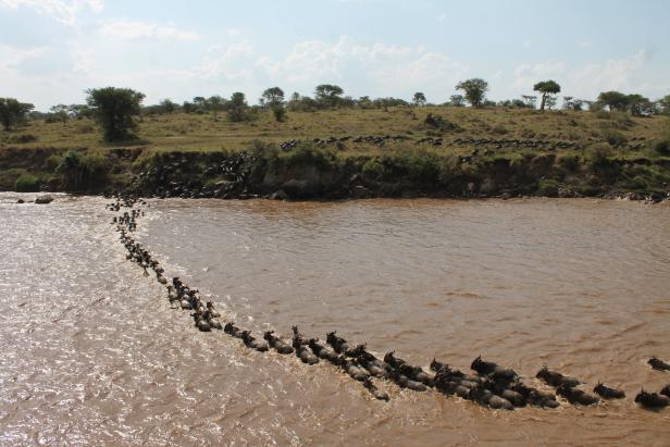 So leer wie nie: Die Serengeti für dich allein