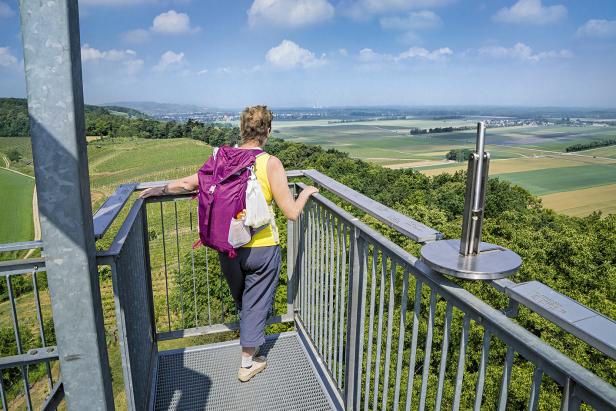 Weinwandern in  Niederösterreich und Wien