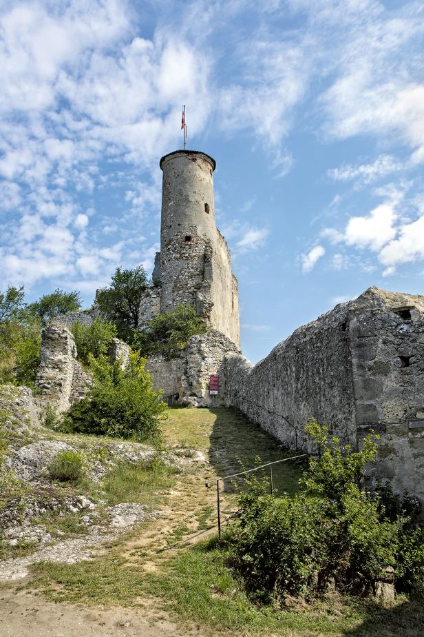 Weinwandern in  Niederösterreich und Wien