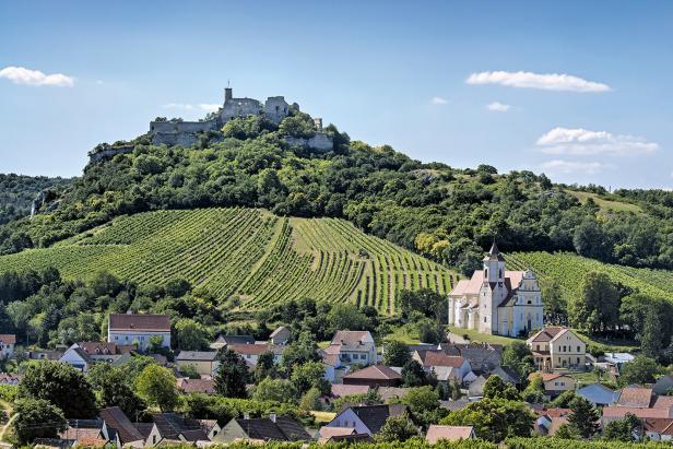 Weinwandern in  Niederösterreich und Wien