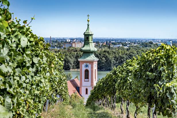 Weinwandern in  Niederösterreich und Wien