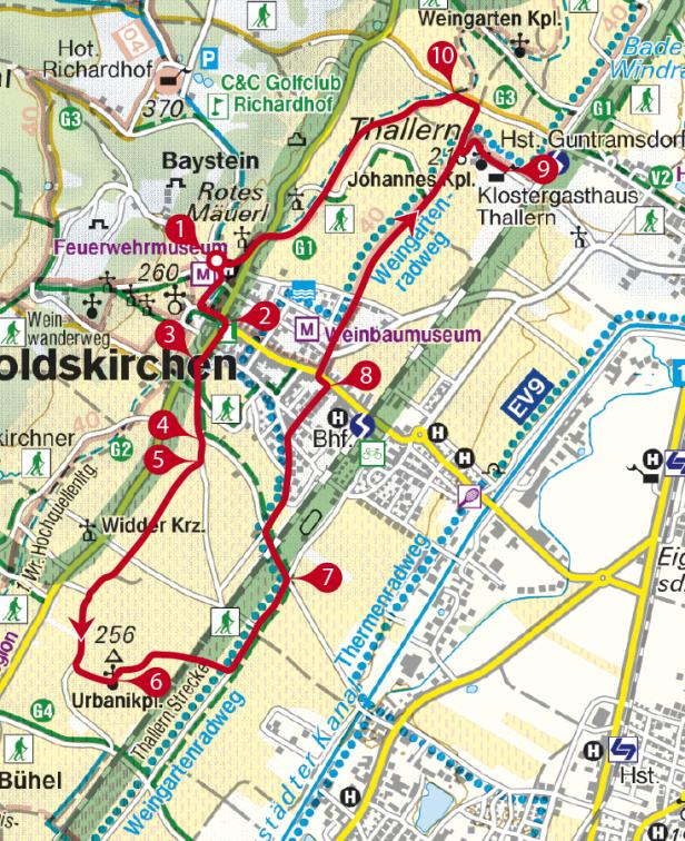 Weinwandern in  Niederösterreich und Wien