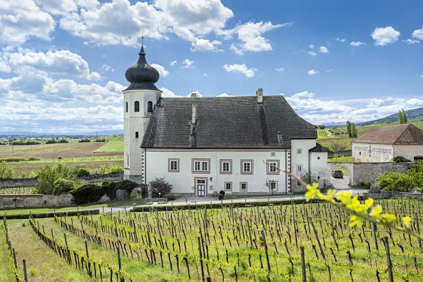 Weinwandern in  Niederösterreich und Wien