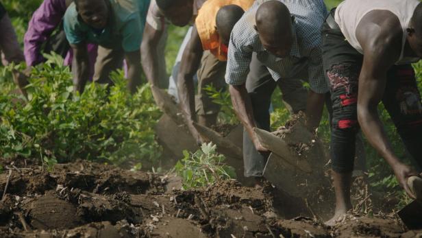 Afrikanisches Klimaprojekt: „Die Zeit arbeitet gegen uns“