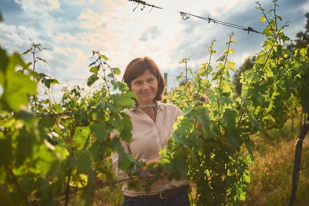 Burgenlands heuriger Wein mit „Top-Qualität“ in den Fässern