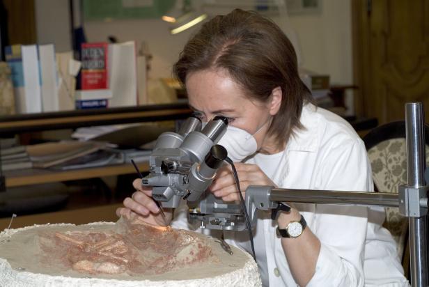 Welche Geheimnisse diese Steinzeit-Babys Forschern jetzt verraten haben