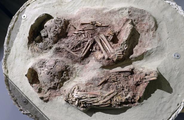 Welche Geheimnisse diese Steinzeit-Babys Forschern jetzt verraten haben