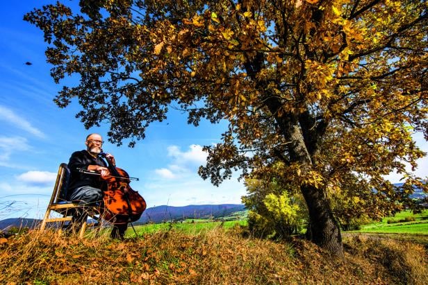 Der Komponist Peter Ablinger und das Lied der Bäume