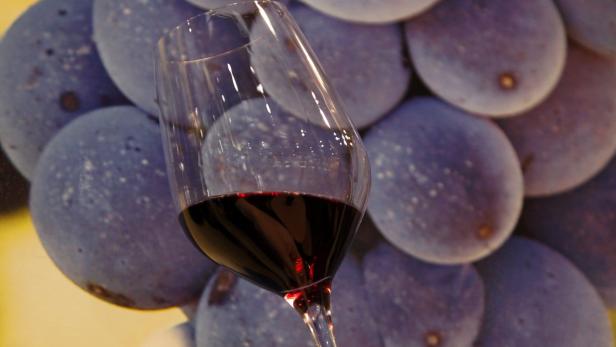 Ein Glas Rotwein vor einem Hintergrund aus blauen Trauben.