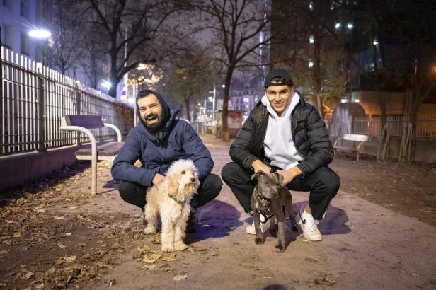 Nach 20 Uhr auf Wiens Straßen: Die Nacht geht vor die Hunde