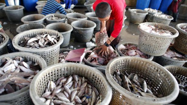 THAILAND FISHING EU TRADE