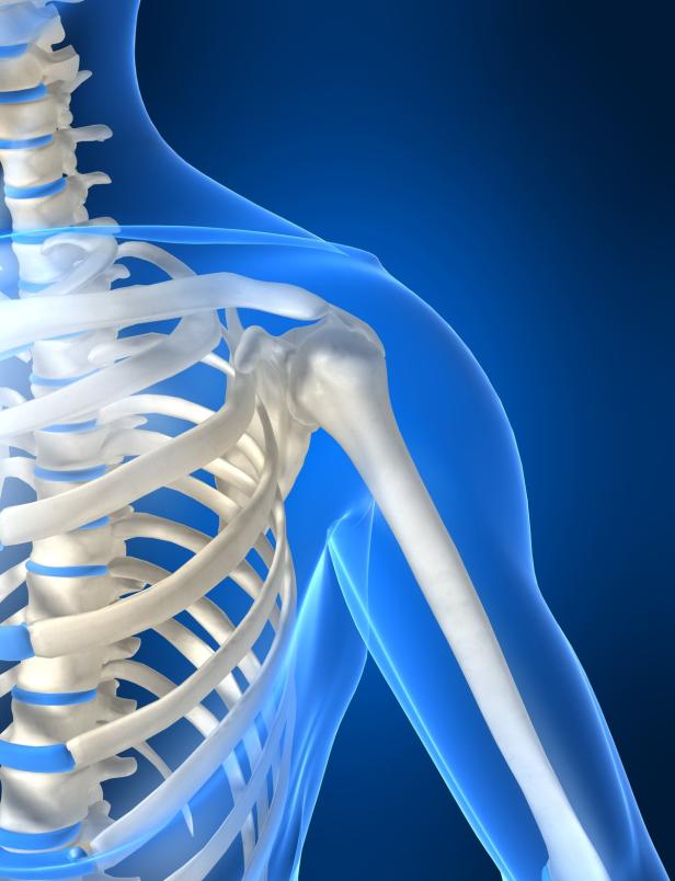 Eine Illustration des menschlichen Schultergelenks und des Oberkörpers auf blauem Hintergrund.