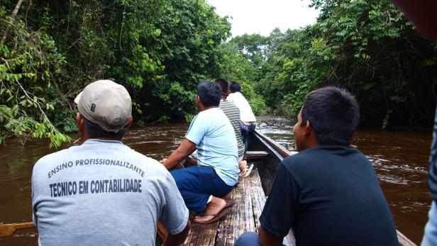 Hofer im Amazonas (2/2)