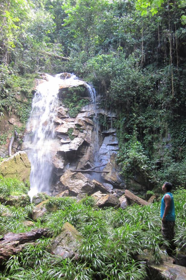 Hofer im Amazonas (2/2)