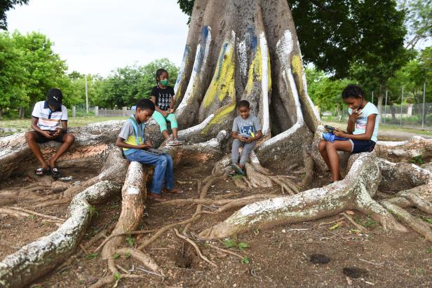 Fünf Schüler_innen lernen mit Handy unter einem großen Baum
