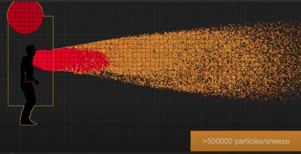 Computer-Animation: So verbreitet sich das Virus