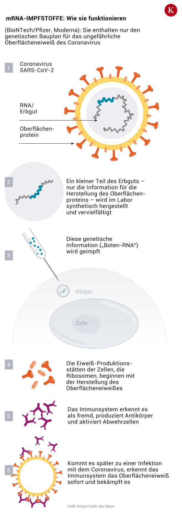 Impfstrategie: Wie es in Österreich nun weitergeht