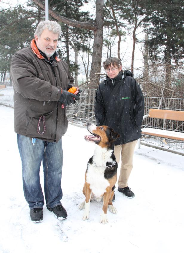 Giftköder-Alarm in der Hundezone