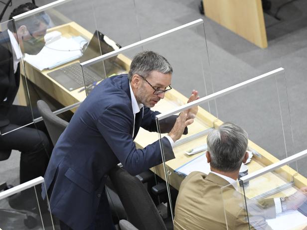 FPÖ-Kreise: Hofer sondierte Mehrheit für Klubvorsitz