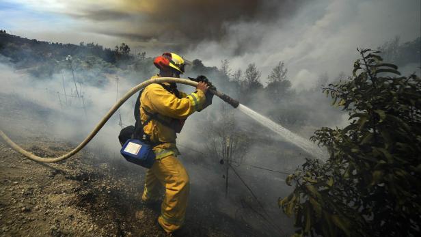 Ein Feuerwehrmann bekämpft mit einem Wasserstrahl einen Waldbrand.