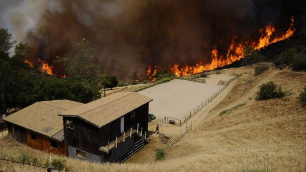 Ein Haus und ein Reitplatz sind von einem Waldbrand bedroht.