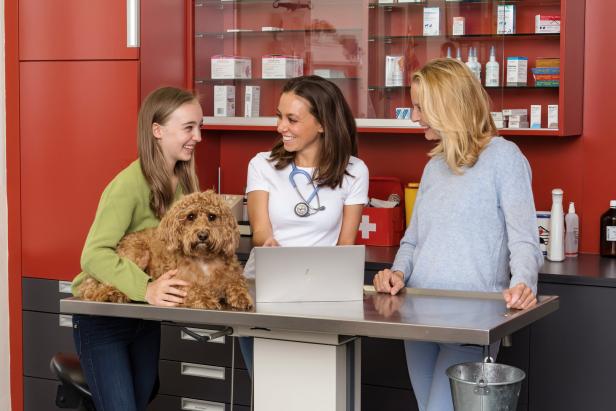 Fressen nach Maß: So wollen Wiener am Hundefuttermarkt punkten