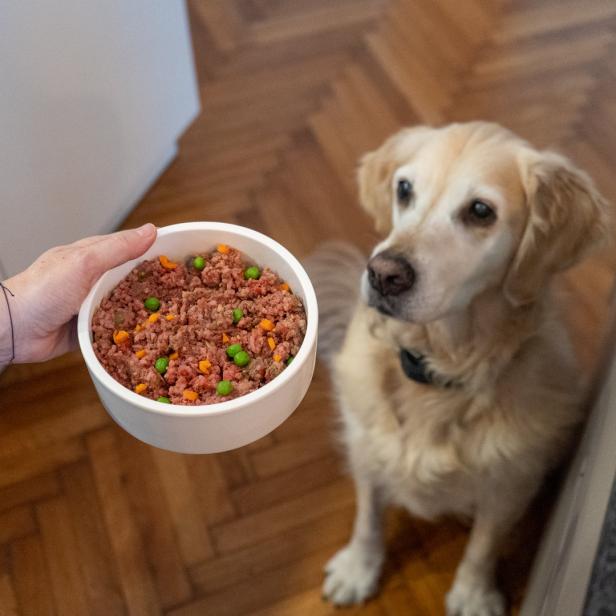 Fressen nach Maß: So wollen Wiener am Hundefuttermarkt punkten