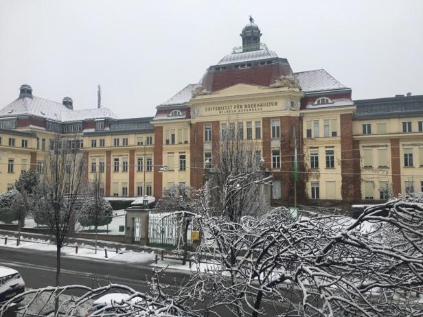 Schneefälle im Osten Österreichs: Es geht winterlich weiter