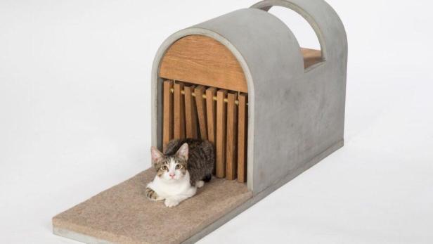 22-cat-shelter-1024x576